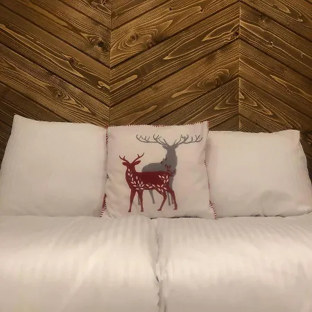 Apart4sleepers Ermitage * Zakopane