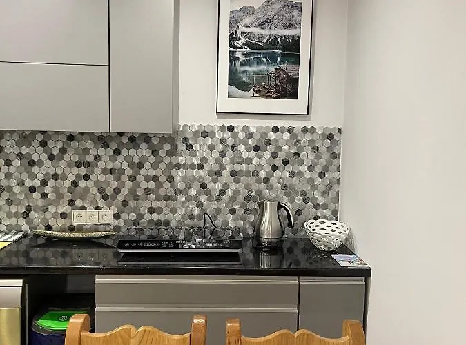 דירה Apart4sleepers Ermitage זקופאנה