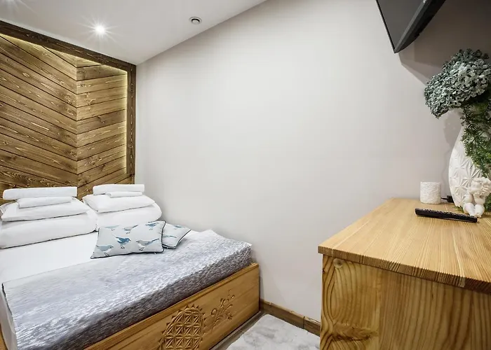 דירה Apart4sleepers Ermitage זקופאנה