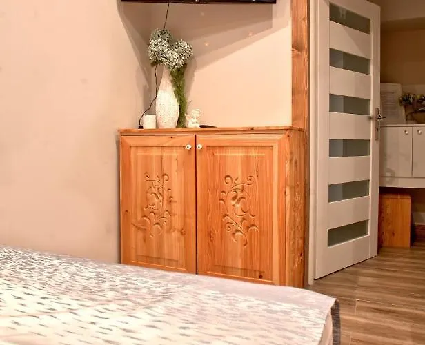 Apart4sleepers Ermitage * זקופאנה