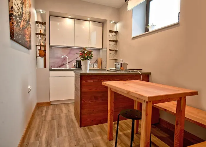 Apart4sleepers Ermitage דירה זקופאנה